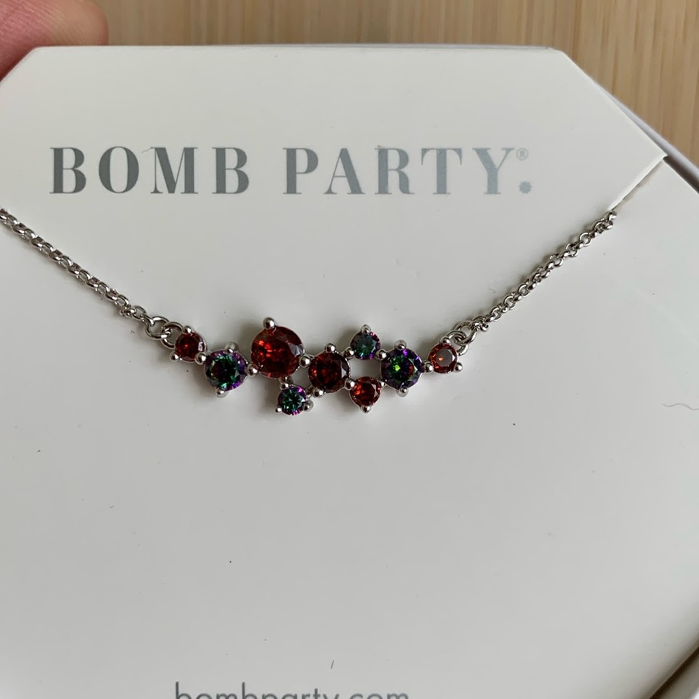 Red and Silver Necklace